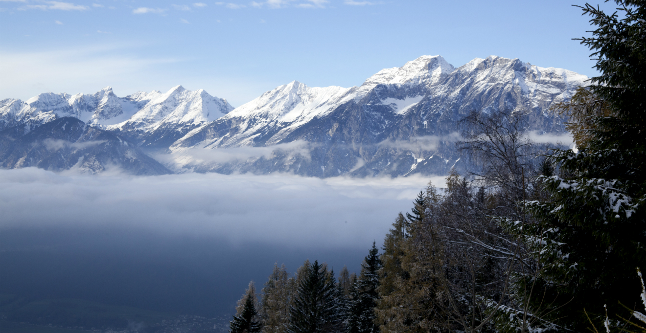 Neve: magia d'inverno | WESTWING - Dalani e ora Westwing