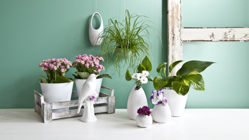 Vasi per fiori: eleganti oggetti decorativi dalani e ora westwing Composizioni floreali in vasi di vetro alti