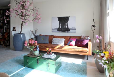 Interior Junkie