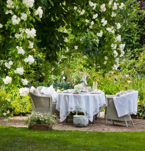 Das grosse Garten-Quiz