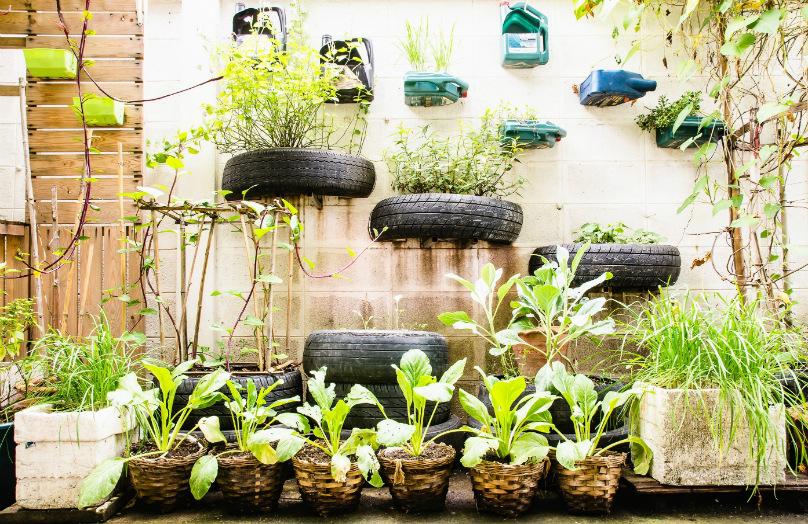 Urbaner Garten: Grün-Trend zu Hause