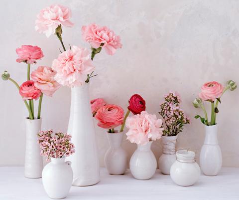Die schönsten Blumen-Kombis im Frühling