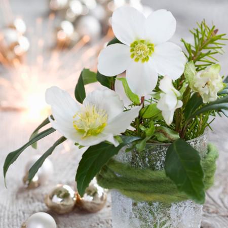 Winterliche Blumenarrangements