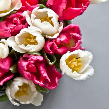 Unsere Blumen-Favoriten für den Frühling