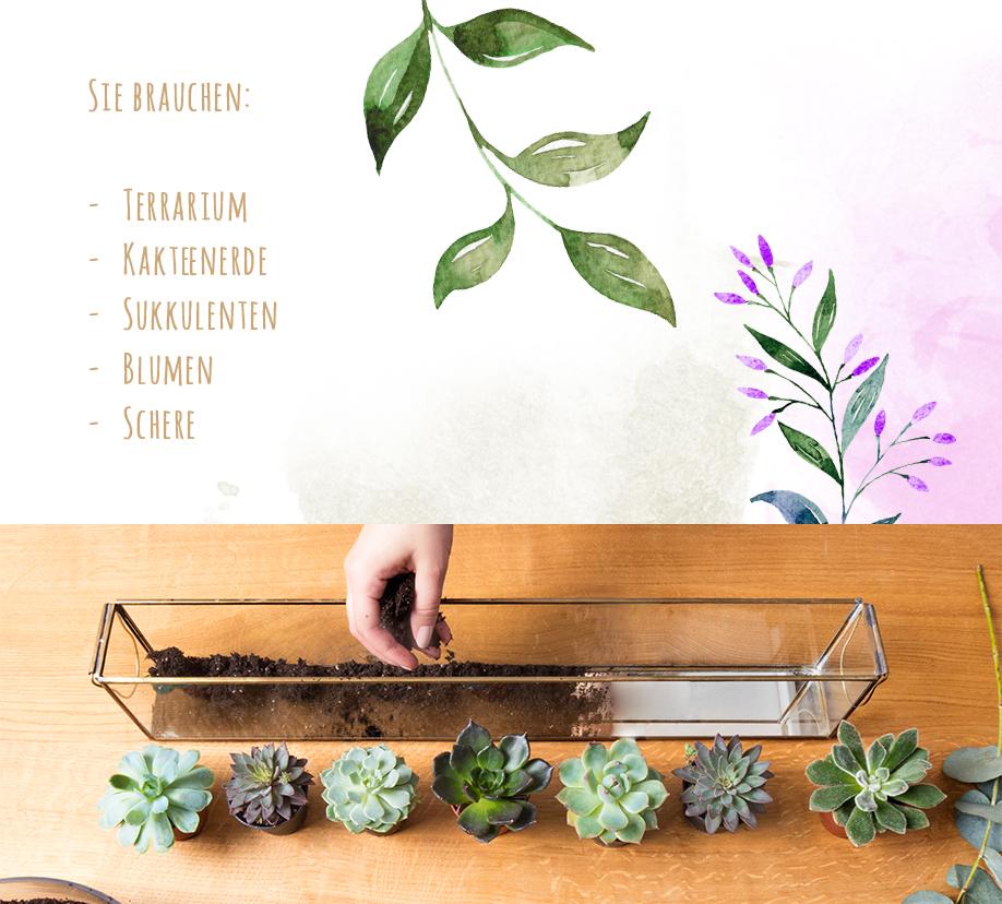 Westwing-DIY-Terrarium-Elemente-Erde