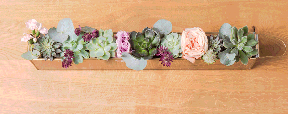Westwing-DIY-Terrarium-schmal