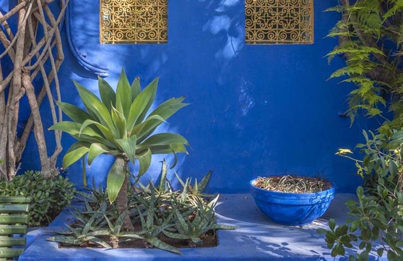 Jardin Majorelle: Der blaue Garten von Marrakesch