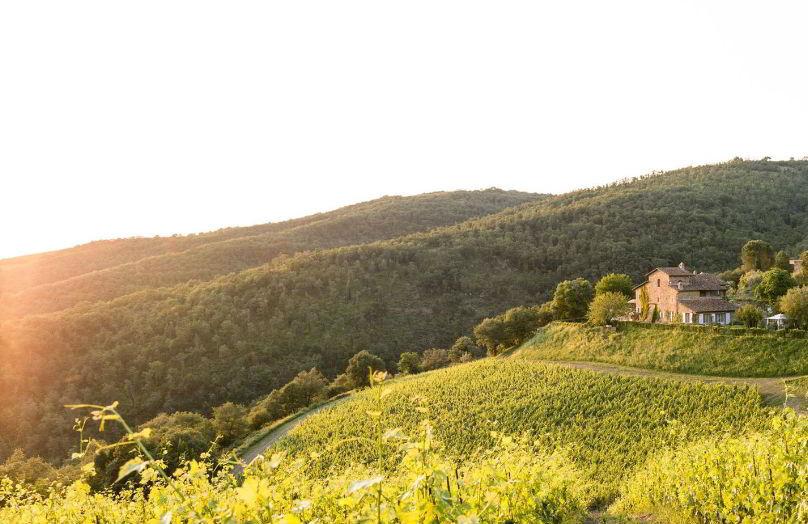 Tempo di vino - Viaggio in un casale di Toscana