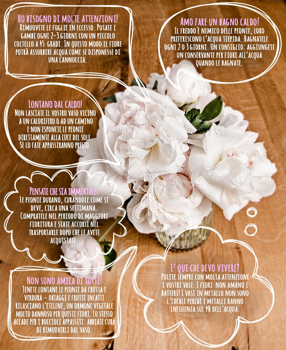 Peonie, Come curare le peonie, Fiori, Primavera, Giardino, Casa