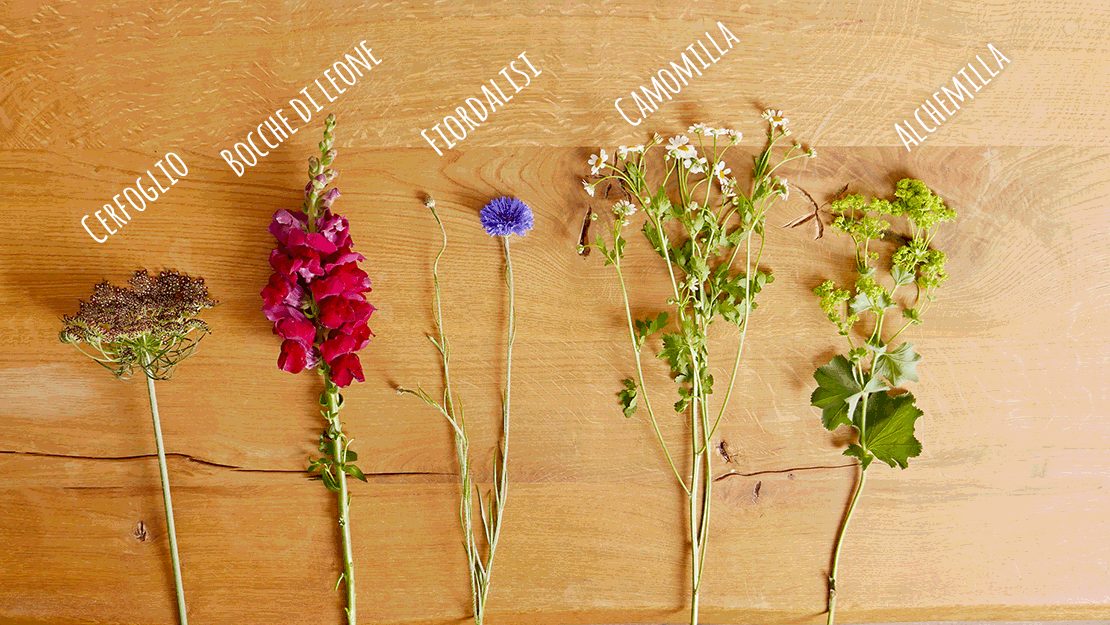 bouquet mese luglio