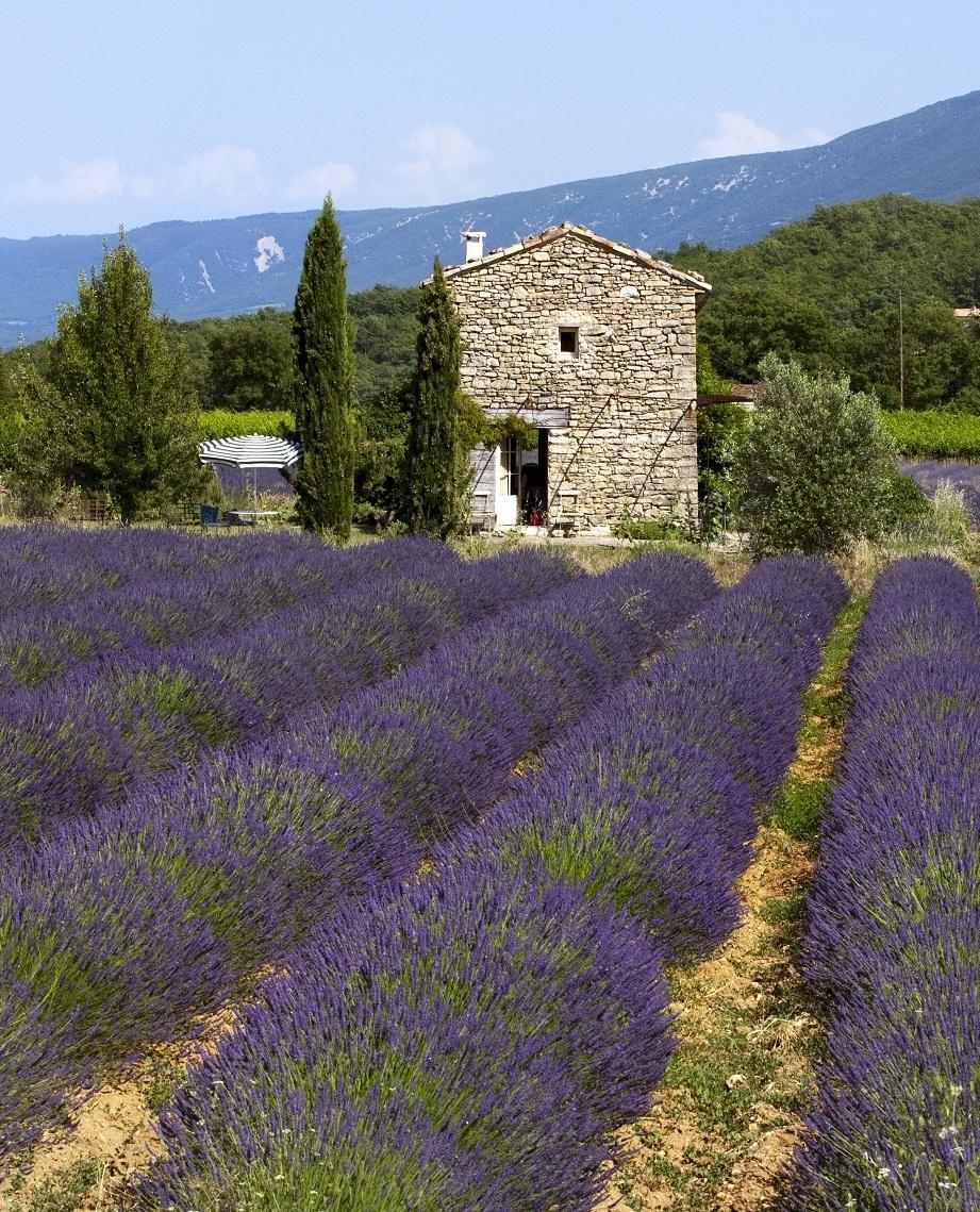 5 mete da sogno: gli Style Hunters di Dalani