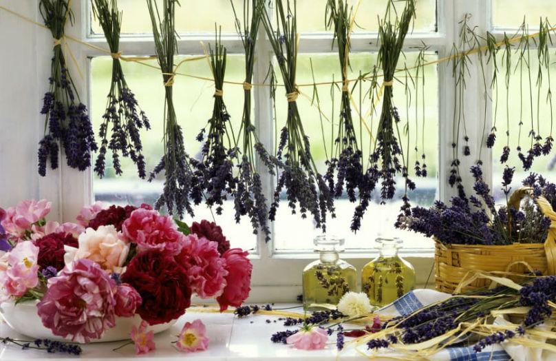 Come profumare la casa con fragranze naturali