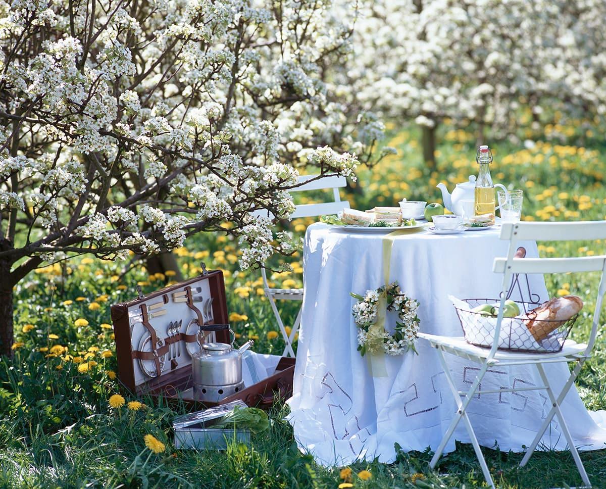 Dalani-organizzare-un-picnic-6
