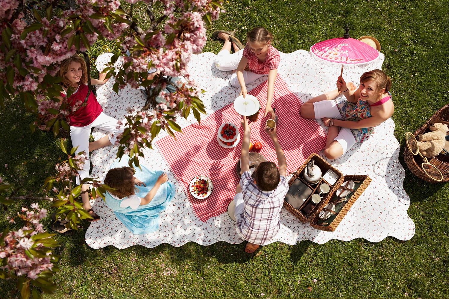 Picnic