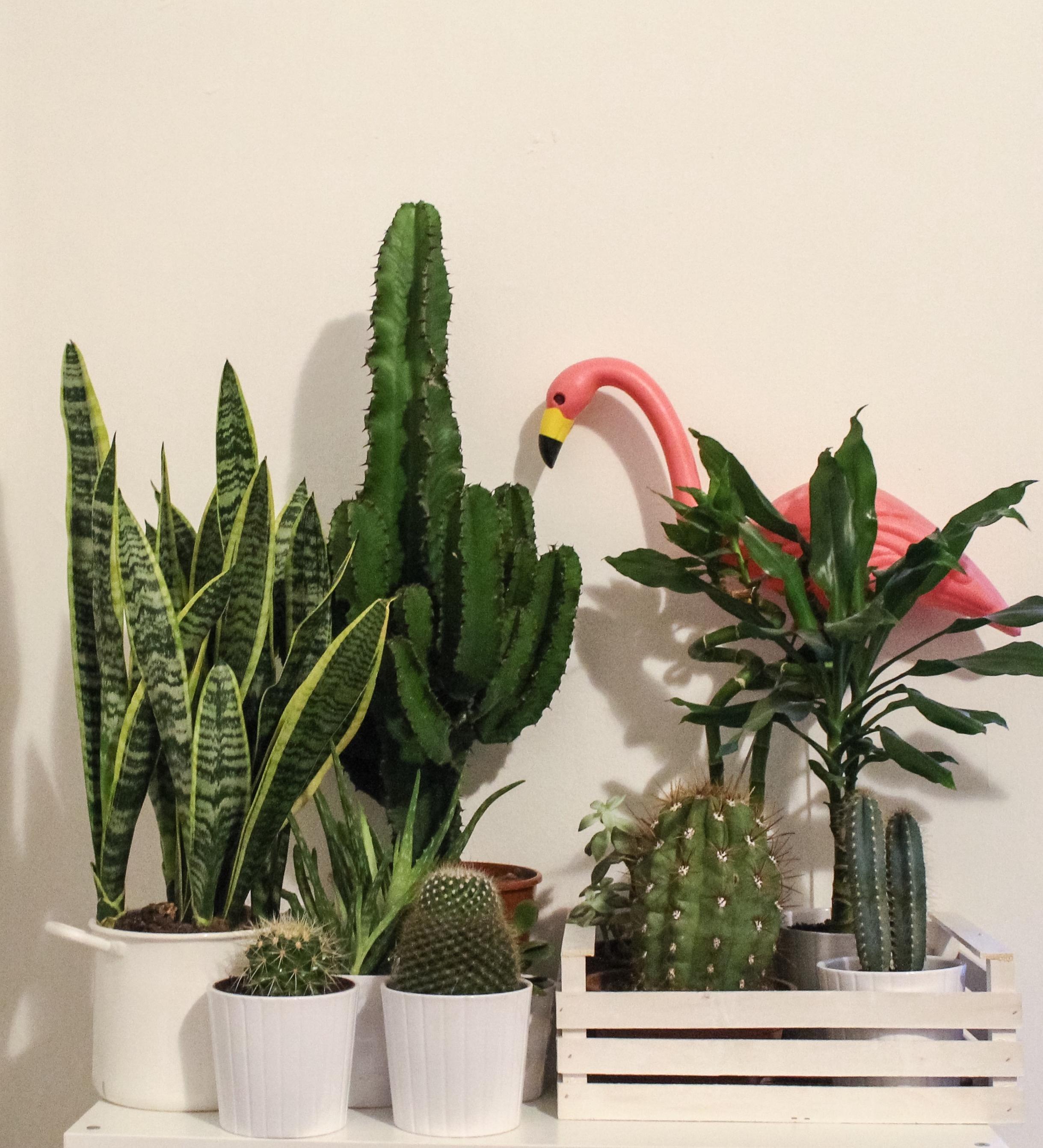 Dalani, I love you, Casa, Social, Style, Trend, Idee