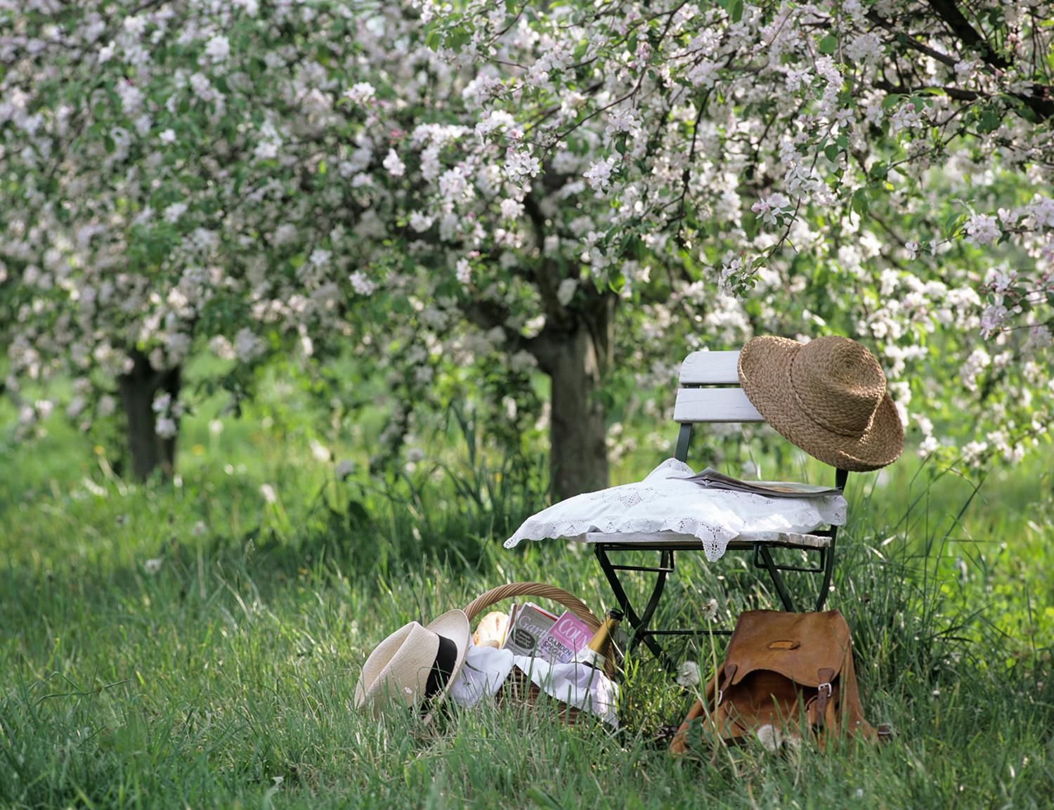 Simonetta Chiarugi, Aboutgarden, Arredamento, Consigli, Estate, Fiori, Giardino