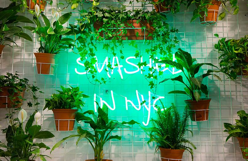 Avocaderia - Il locale più Healthy&Tasty è a New York