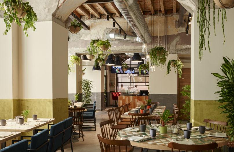 Vegan? Cucina, Design, Condivisione - Soulgreen