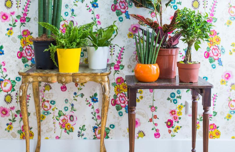 Het ultieme zomerhuis in 5 stappen