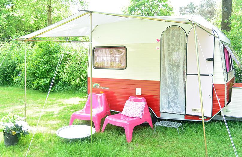 Trend: op de glamping