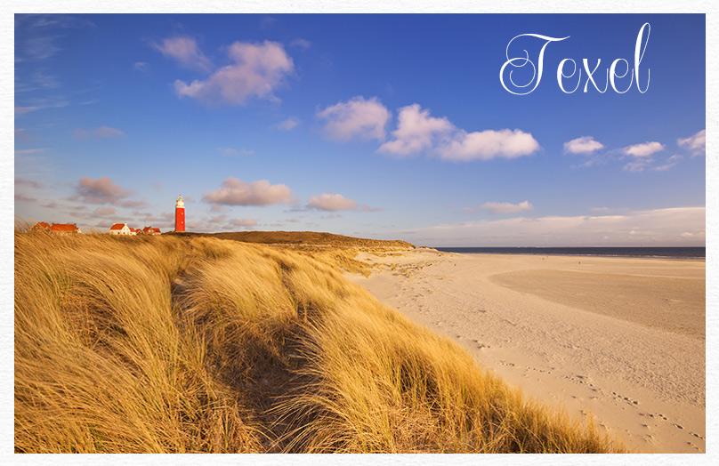 Aan de Noordzee en helemaal hot & happening