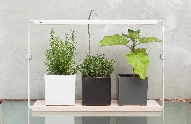 Zonlicht in een lamp: ontdek Bulbo