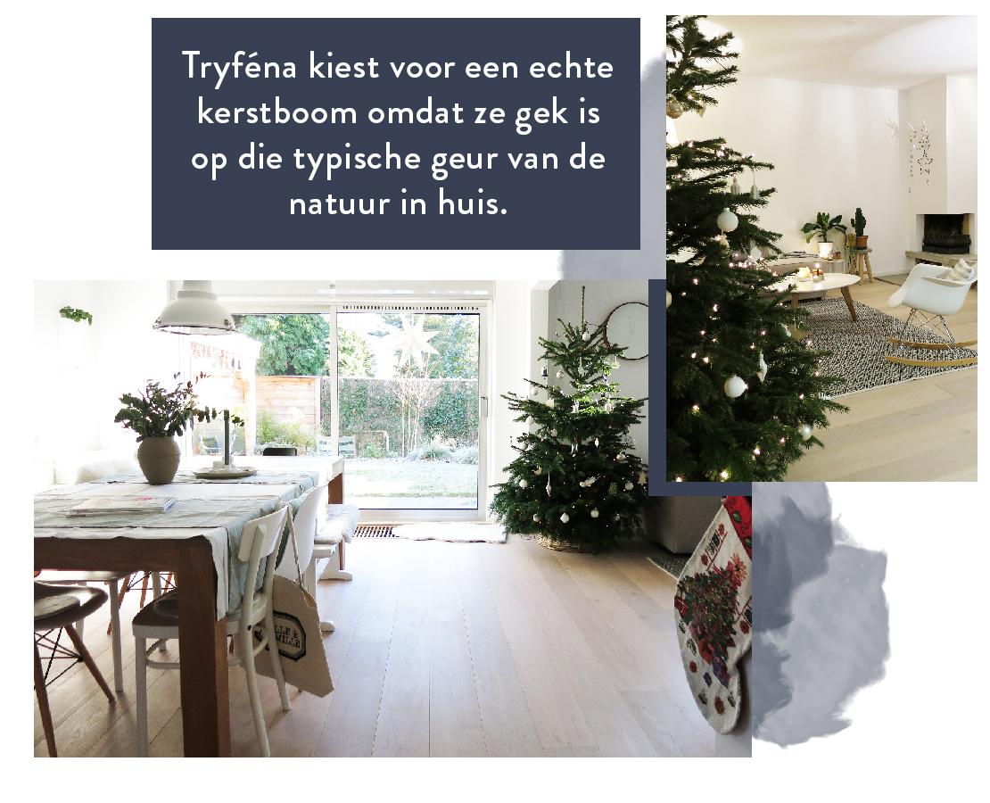 Tryféna