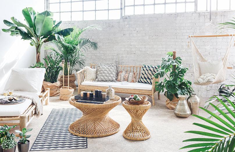 Bamboe: hét trendmateriaal van nu