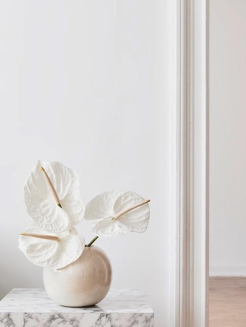 Melonenregel Cremefarbene Kugelvase auf Marmorbeistelltisch vor weißer Wand mit weißen Blumen