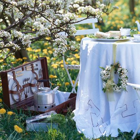 Organizzare un Picnic