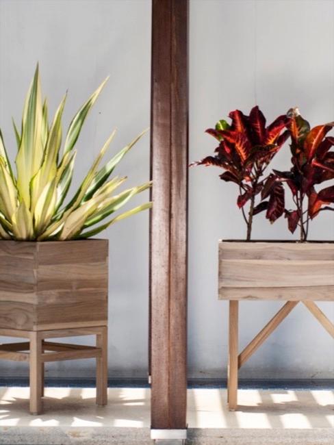 Jardín urbano Macetas altas de madera con plantas