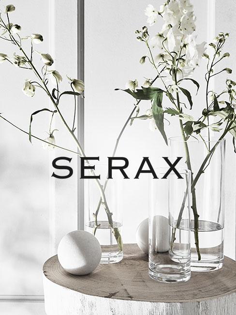 Serax Markenhighlight Serax Vasen