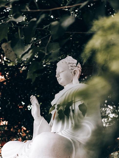 imparare a meditare Statua di Buddha nel giardino