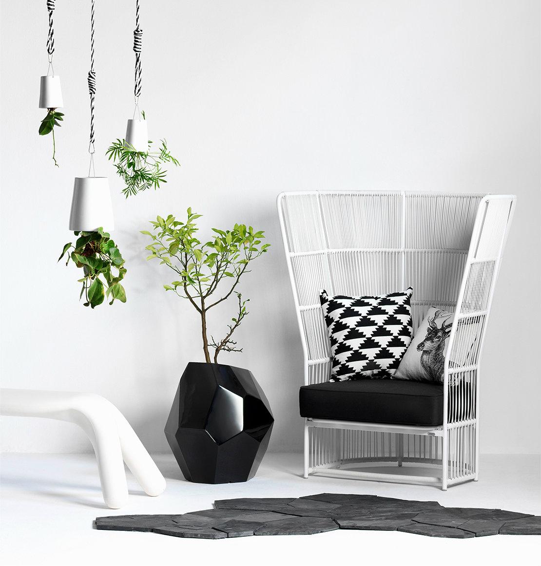 Plan detox para casa plantas