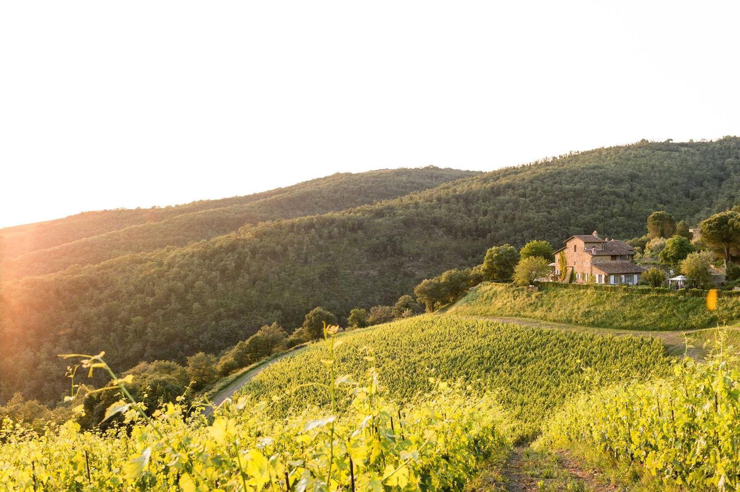 Dalani, Vino, Autunno, Decorazioni, Living, Passione