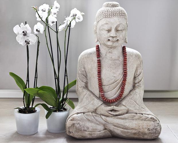 buddha