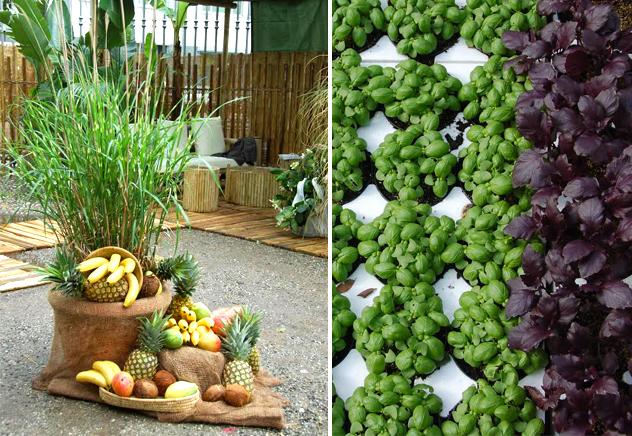 Orticola frutta