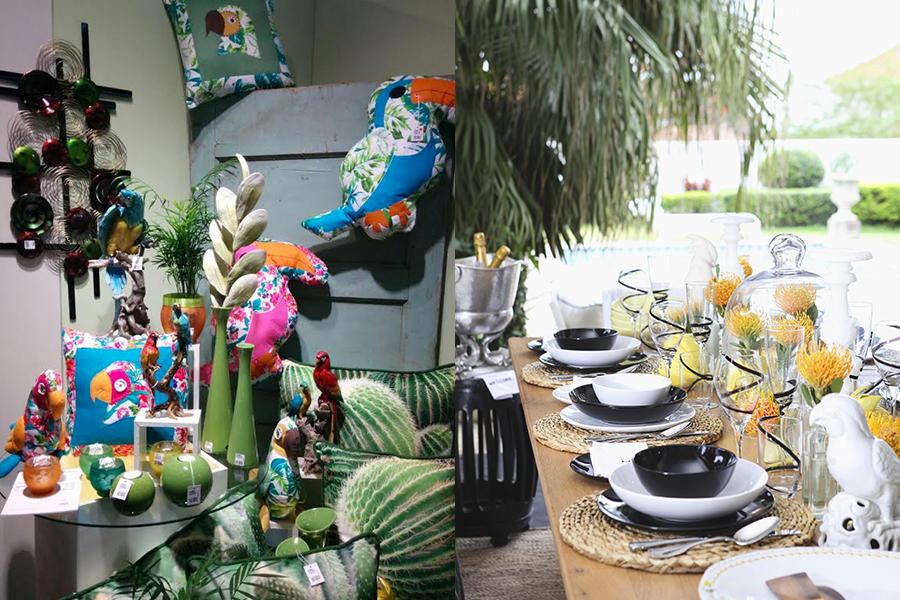 News Dalani, Tropical, Design, Style