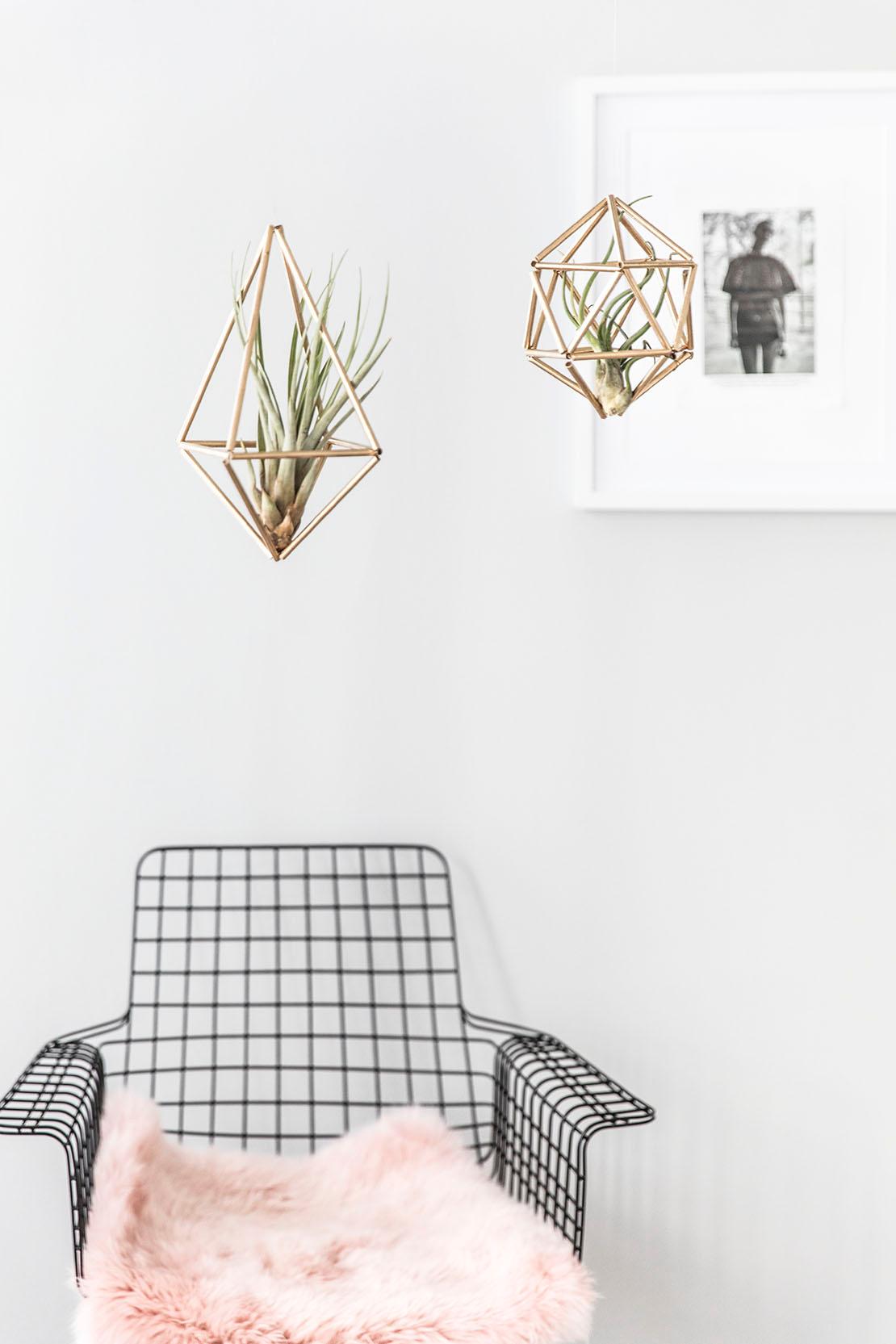 himmeli decorazioni piante