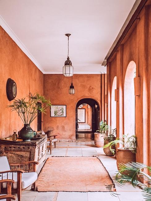 Zimmer in Terracotta Farbe mit Pflanzen, Teppich und Stuhl