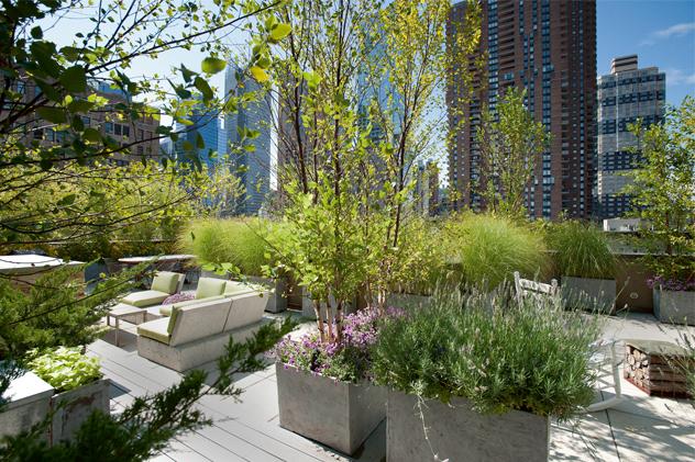 Los jardines de las azoteas de Nueva York