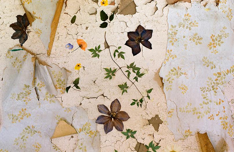 Wabi sabi: la belleza de la imperfección