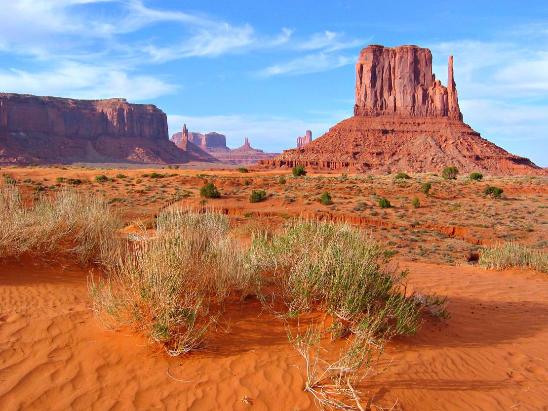 westwing-arizona-dream-intro westwing-arizona-dream-intro