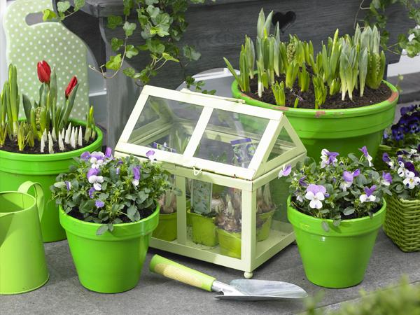 primavera primavera
