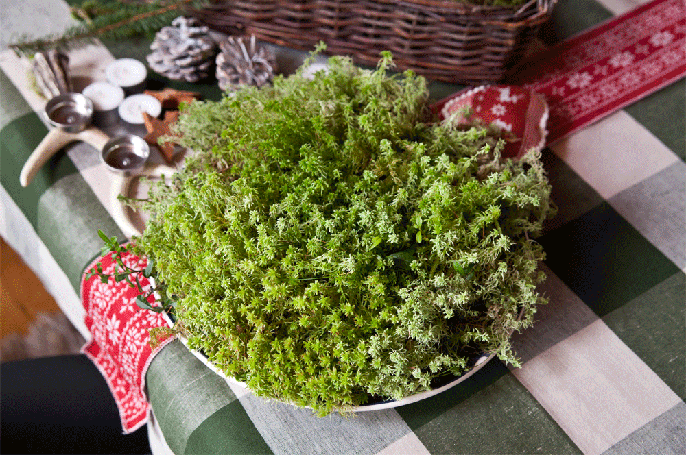 Musica Musica, Natale, Weekend, Casa, Style, Dalani, Baita, Alpi, Fiori, Fai-da-te