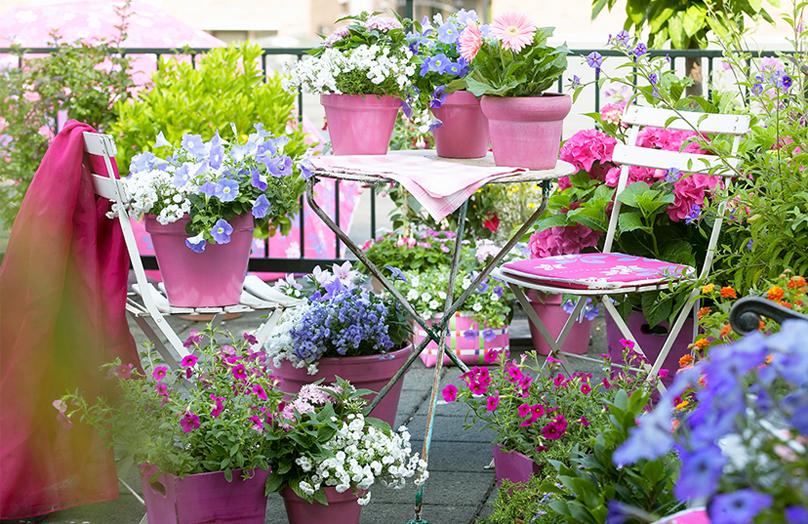 Garden Design - Progettare un angolo verde