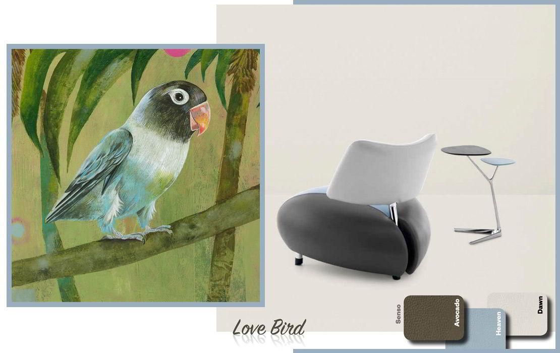 Dalani, Leolux, Colori, Design, Casa, Arte