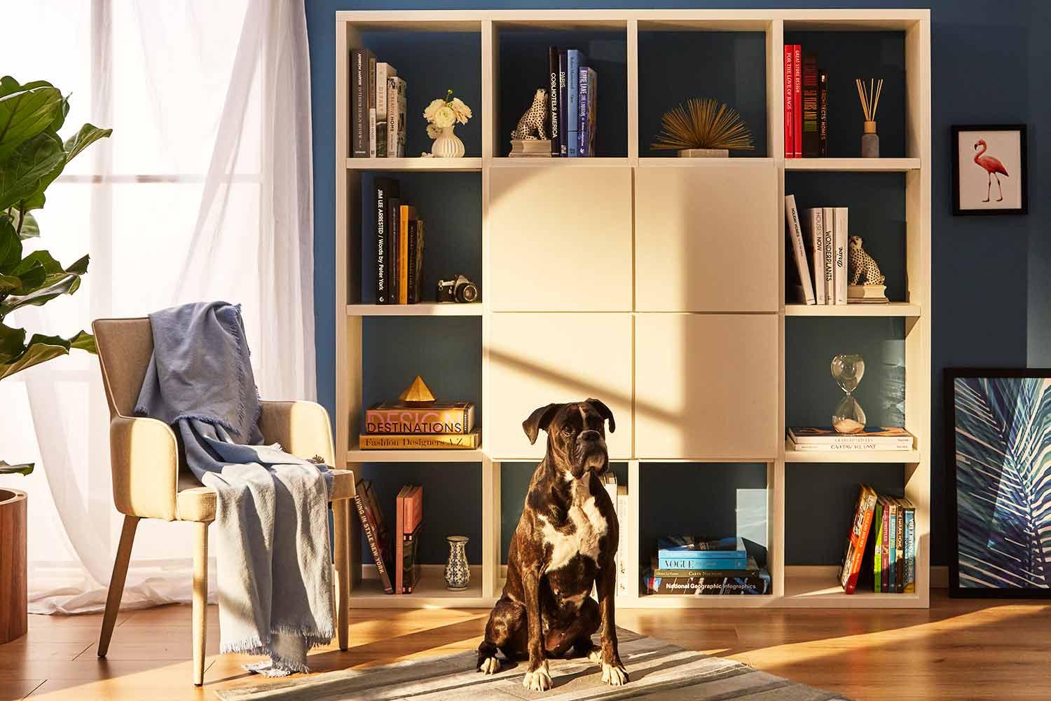 Castagnetti, Casa, Stile, Arredamento, Moderno, Classico