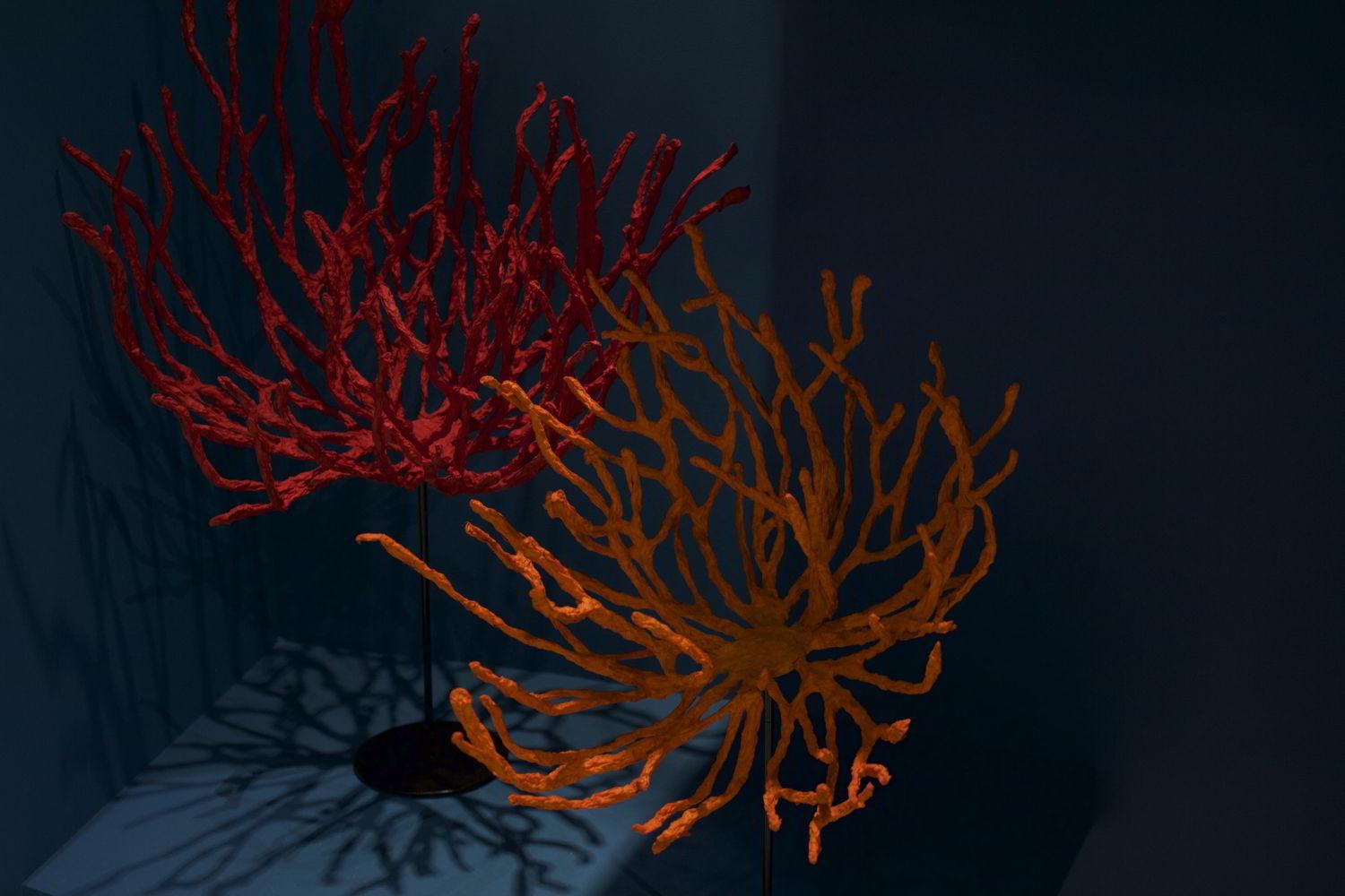 Dalani, Maison&Objet, Arte, Colori, Design, Ispirazioni, Parigi, Spazio, Trend