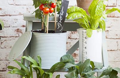 Un potager sur-mesure